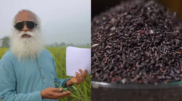 Karuppu kavuni rice jaggi vasudev
