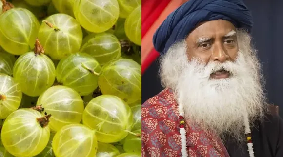 Amla uses