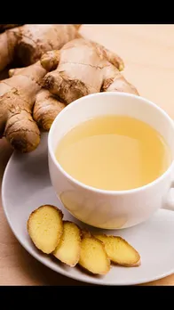 ginger 