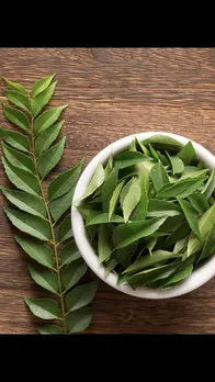 curry leaves