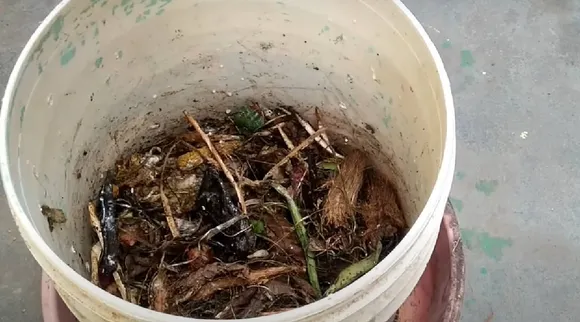 Compost
