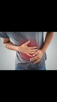 gut