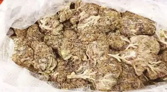 hydroponic drug