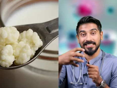 kefir