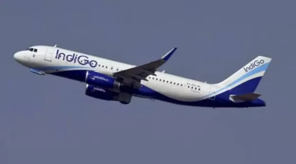indigo