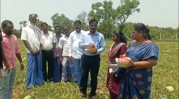 villupuram watermelon