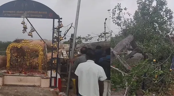 ஆலமரம் சாய்ந்தஹ்டு