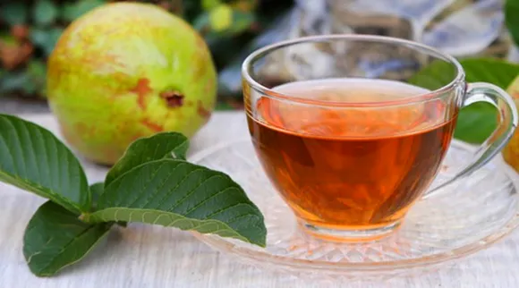 guava leaves