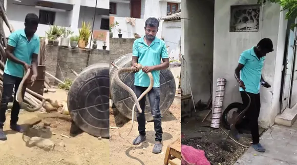 covai snake catch