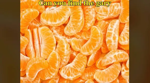 Gary 