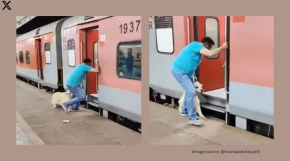 dog viral video