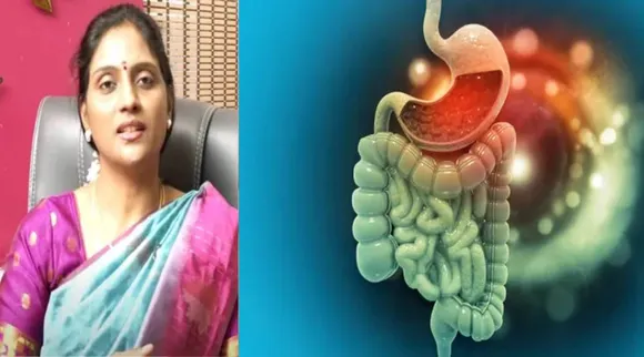 gut health 