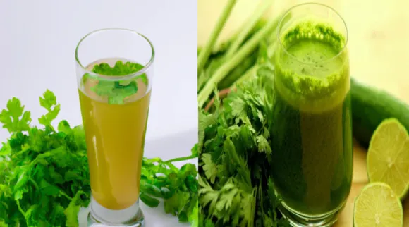 coriander