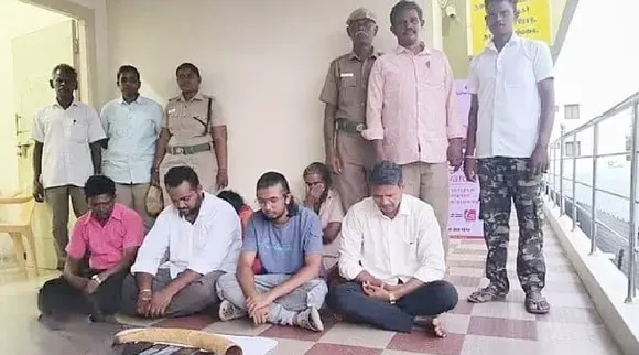  Trichy 5 held for Smuggling elephant tusks Tamil News 