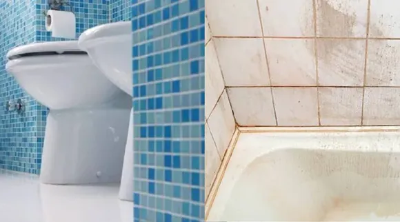 Toilet stain