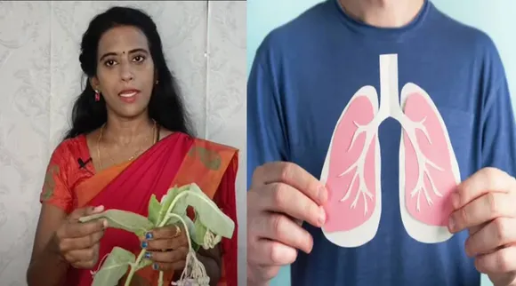 erukkam seti 