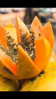 papaya seeds