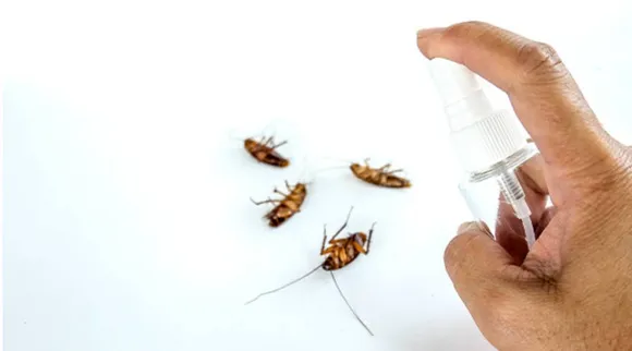 Cockroach repellent spray 