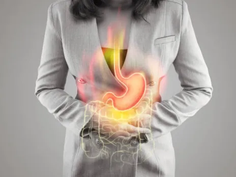 gut
