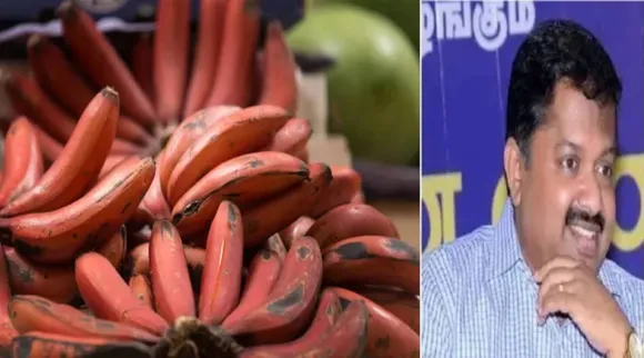 kuthikaal vali