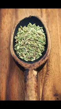 fennel