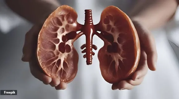 Kidney problem