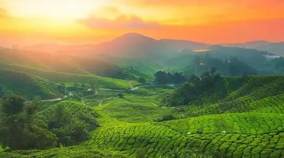 Munnar tourism
