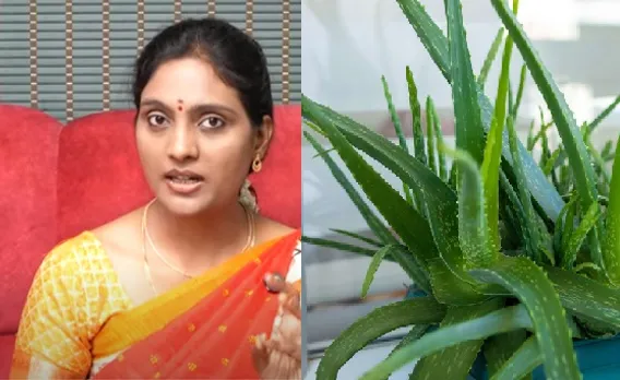 Aloe vera hair care