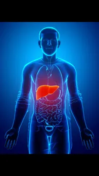 liver