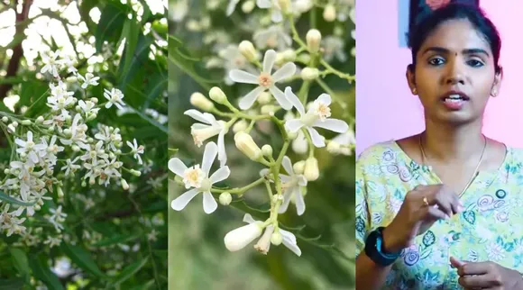 neem flower benifits