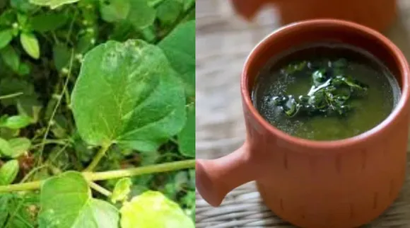Spinach soup