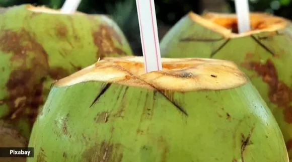 Tender Coconut