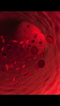 blood