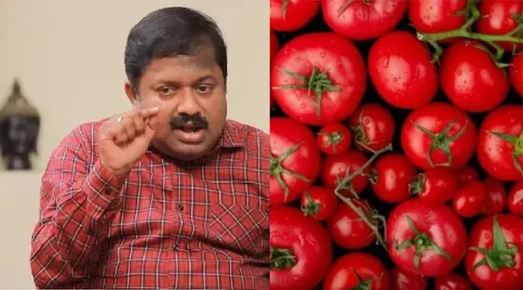 Uses of tomato
