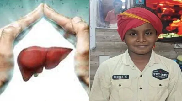organ donation