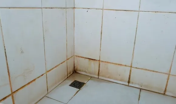 Bathroom cleaning TIps