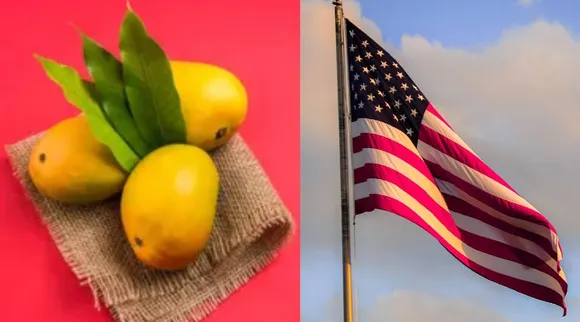 US ban mango
