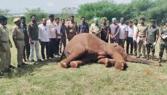 Coimbatore 