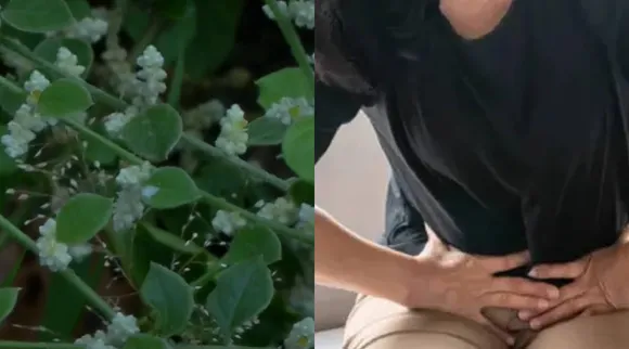 Sirukan peelai