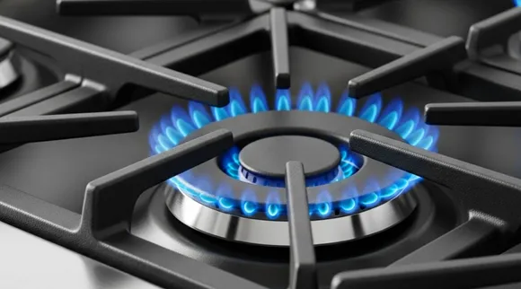 Gas buner