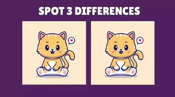 Kitten 1