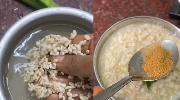 Barley Moringa