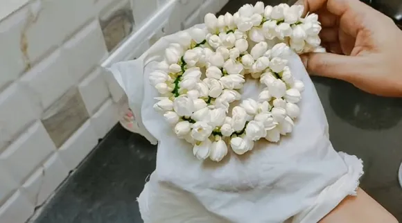 jasmine