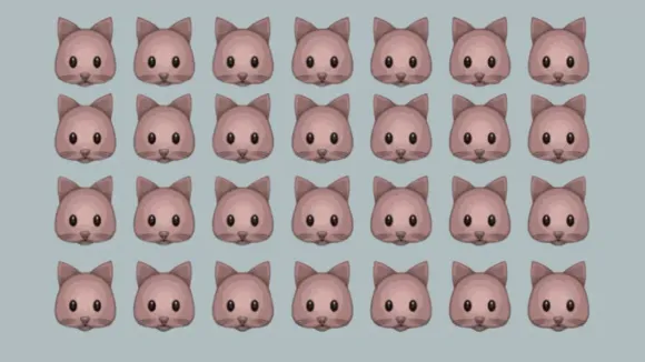 brain-teaser-spot-the-odd-mouse