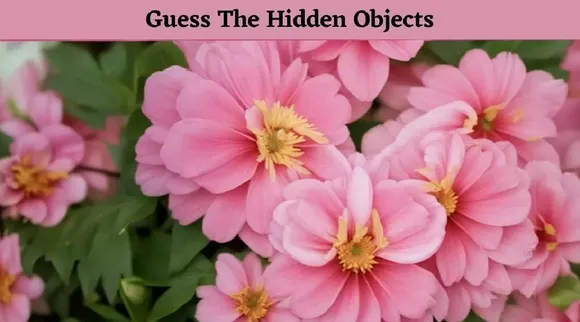 Flower 1