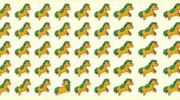 Horse 1 