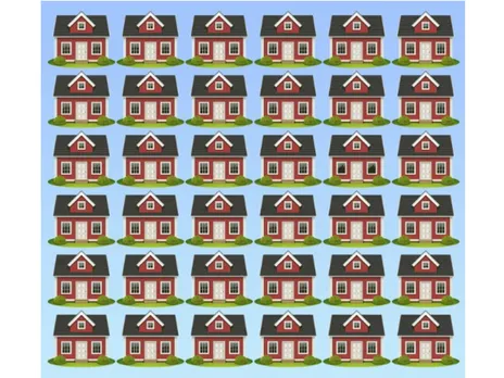 optical illusion