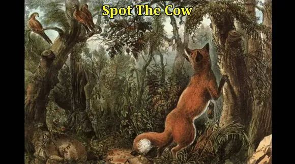 Cow 1