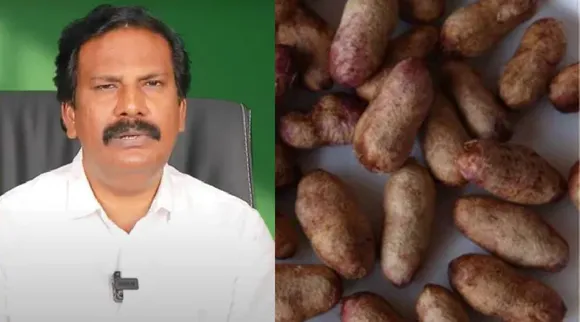 Jamun seed uses
