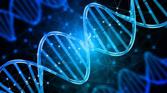 Human-Life-Span